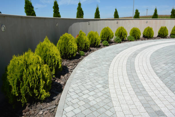 Best Residential Paver Driveway  in Salem, VA